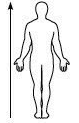 sc-5 sb-2-Anatomical Positions-Body Planesimg_no 113.jpg